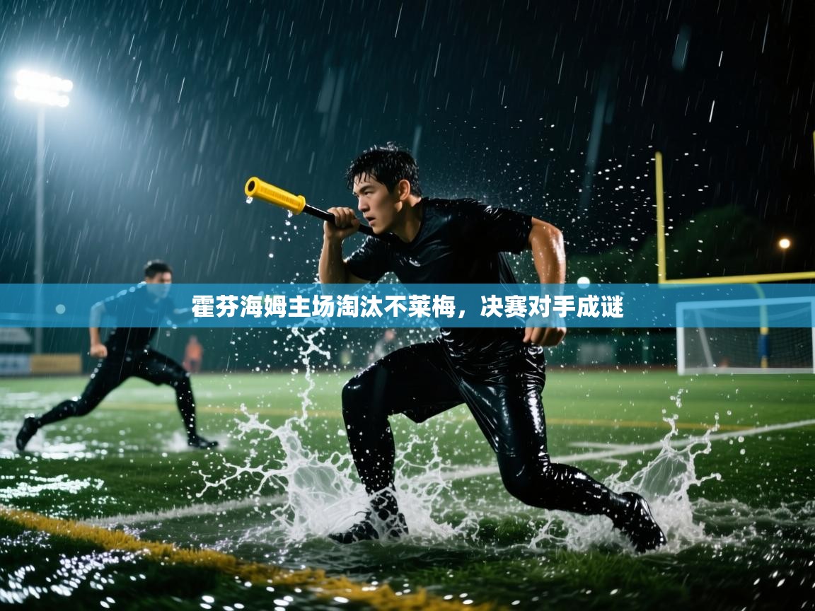 霍芬海姆主场淘汰不莱梅，决赛对手成谜