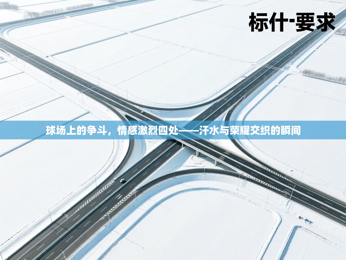 球场上的争斗，情感激烈四处——汗水与荣耀交织的瞬间  第2张